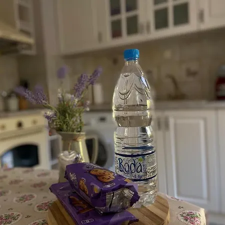 Romantica Apartamento Plovdiv